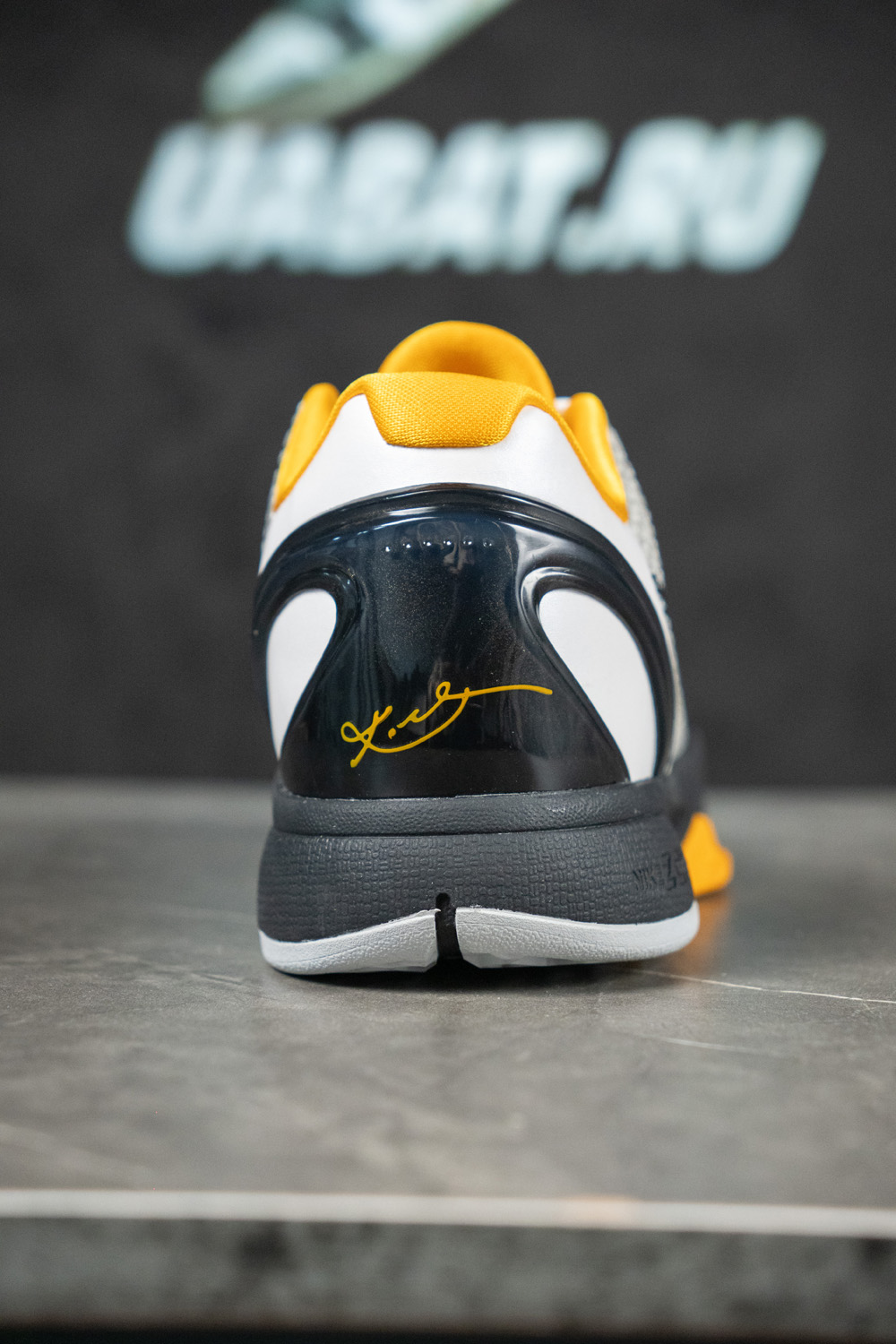ZOOM KOBE 6 PROTRO