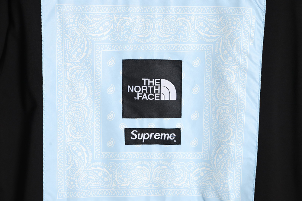 The North Face Supreme co-branded 22ss back cashew flower patch short sleeves_CM
