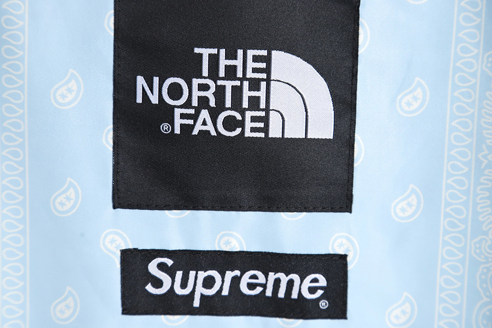 The North Face Supreme co-branded 22ss back cashew flower patch short sleeves_CM