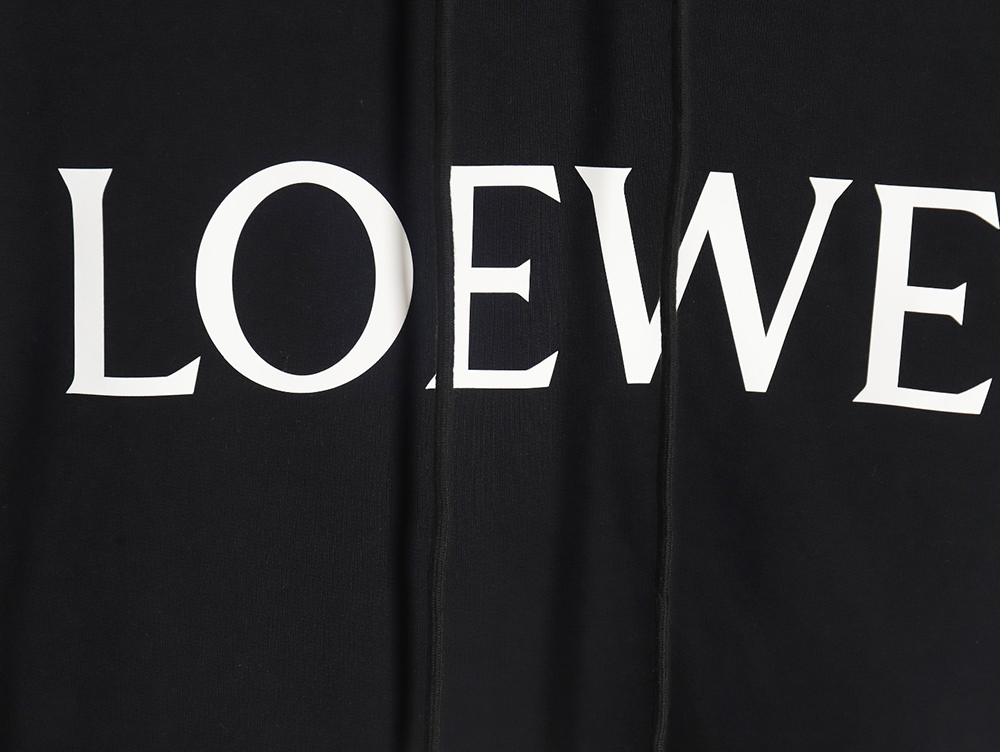 Loewe 24SS large letter print hooded sweatshirt TSK2