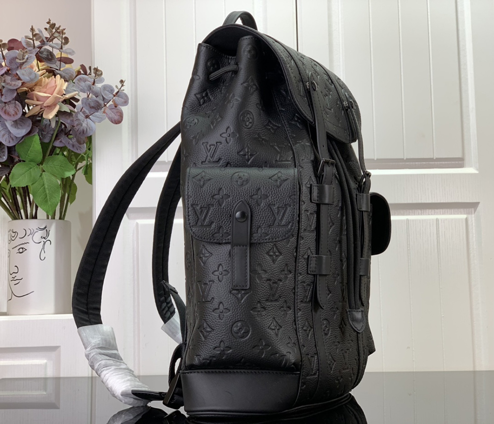 Louis Vuitton Bags M55699