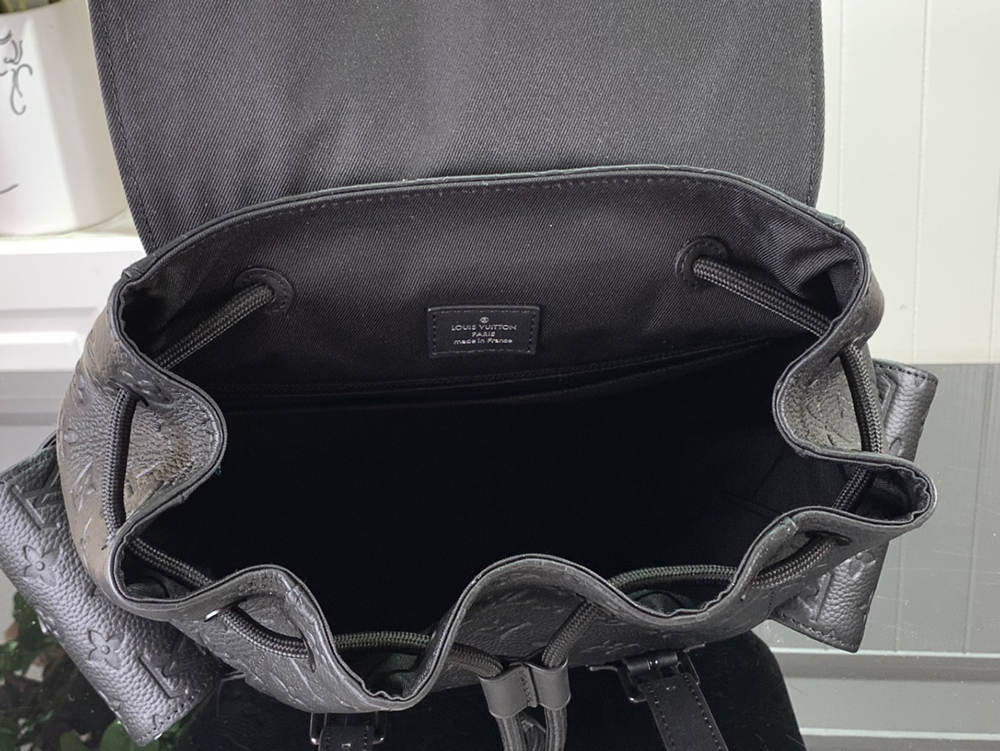 Louis Vuitton Bags M55699