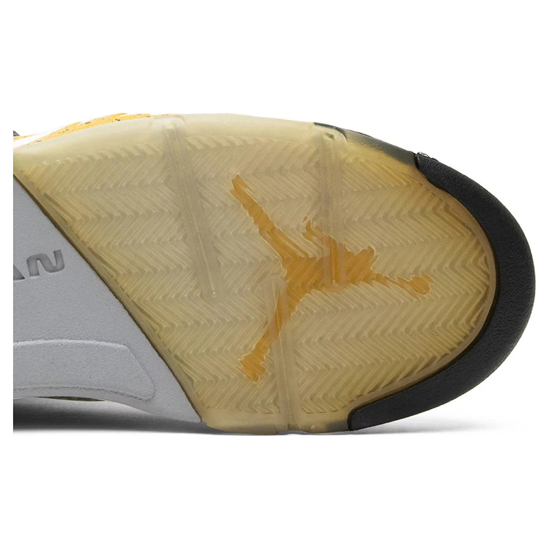 Air Jordan 5 Retro T23 