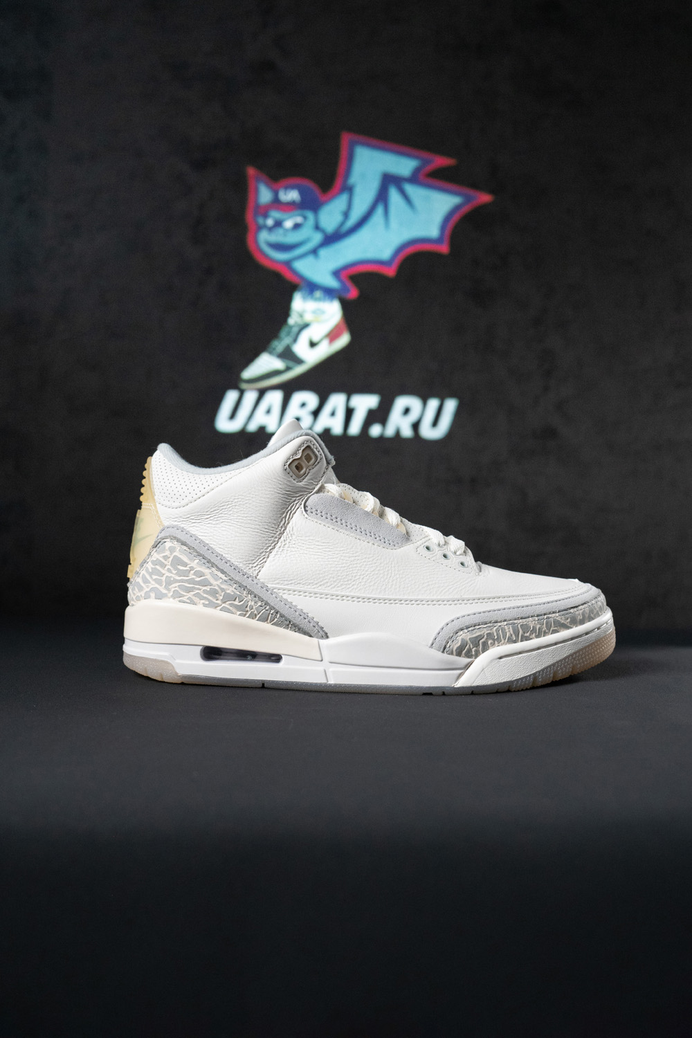Air Jordan 3 Retro SE
