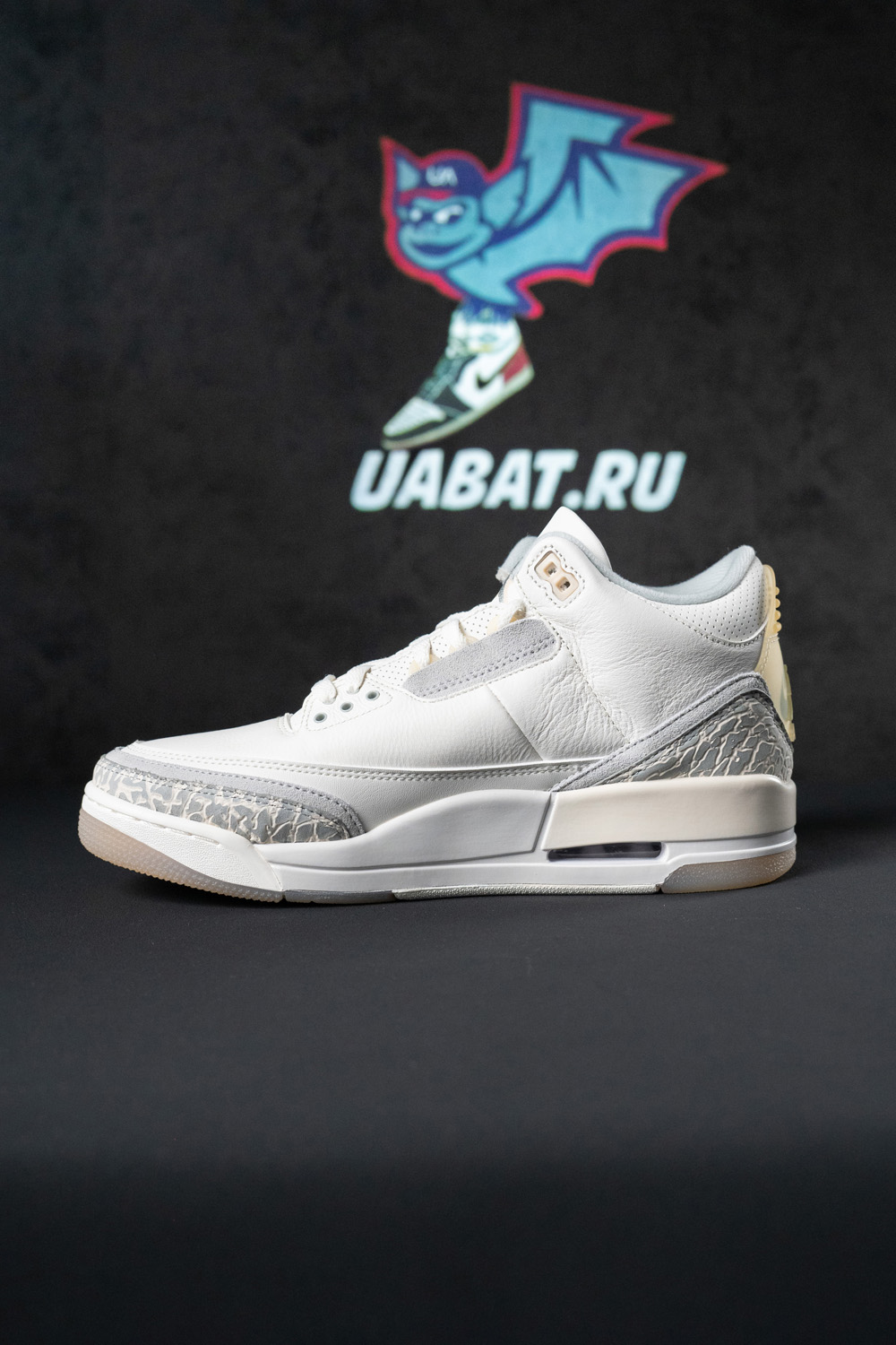 Air Jordan 3 Retro SE
