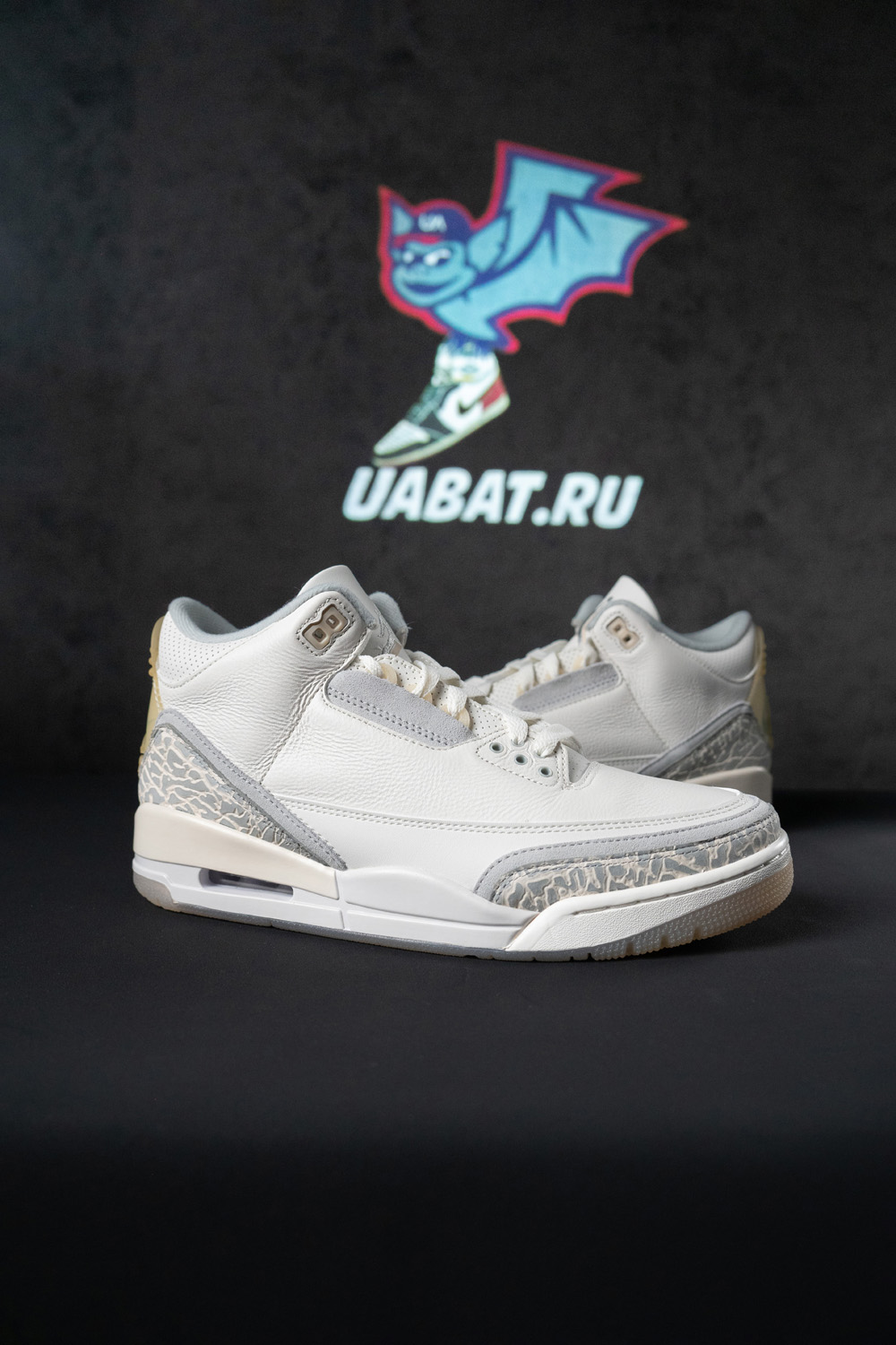 Air Jordan 3 Retro SE