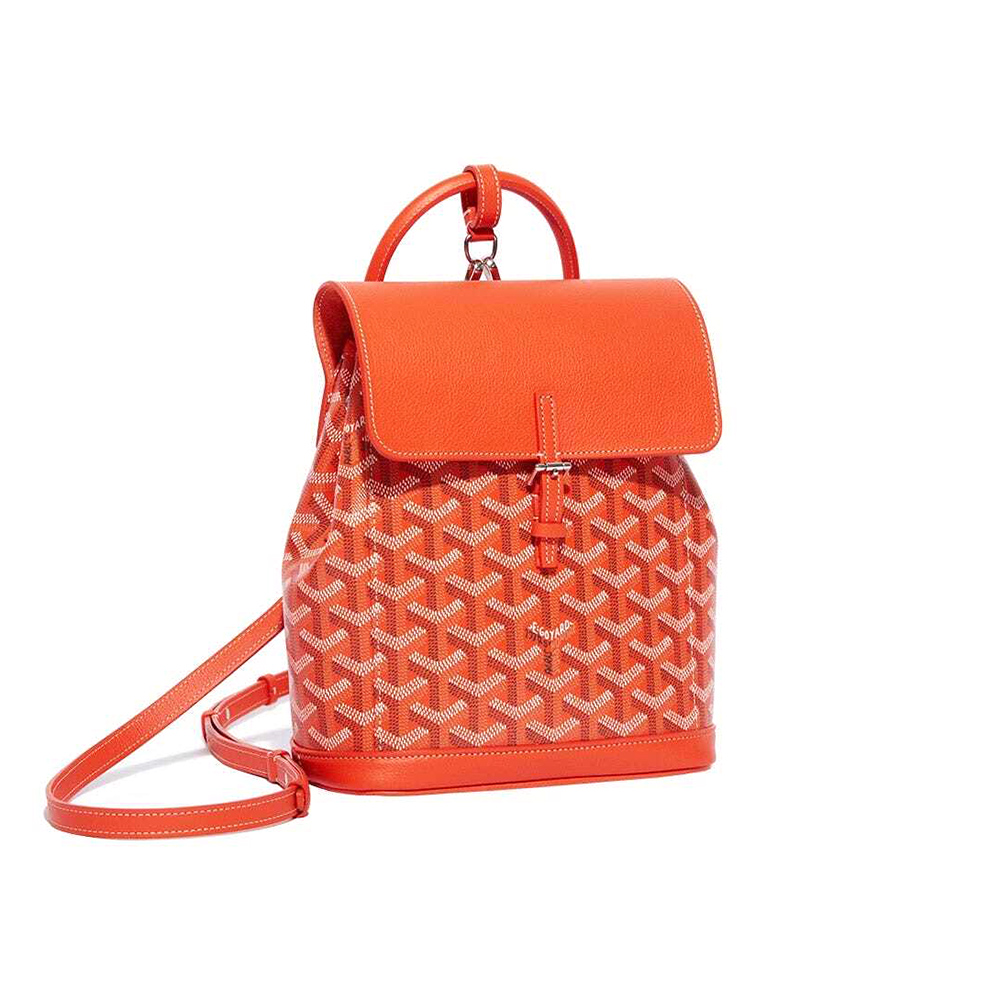 Goyard Alpin Mini Bags Y50CL50P 23*9.5*19cm