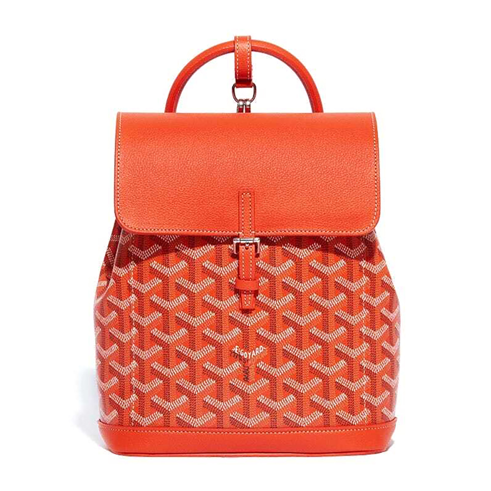 Goyard Alpin Mini Bags Y50CL50P 23*9.5*19cm