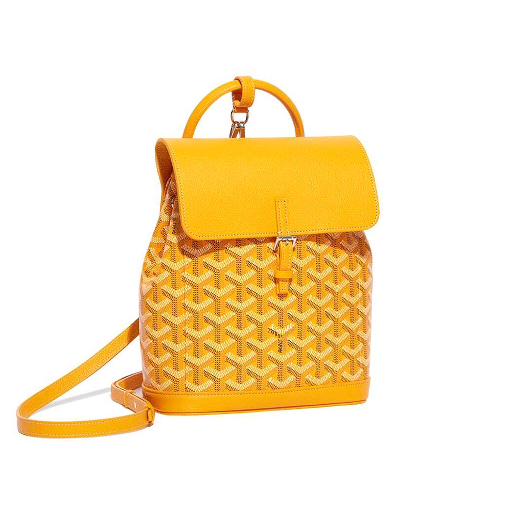 Goyard Alpin Mini Bags Y50CL50P 23*9.5*19cm