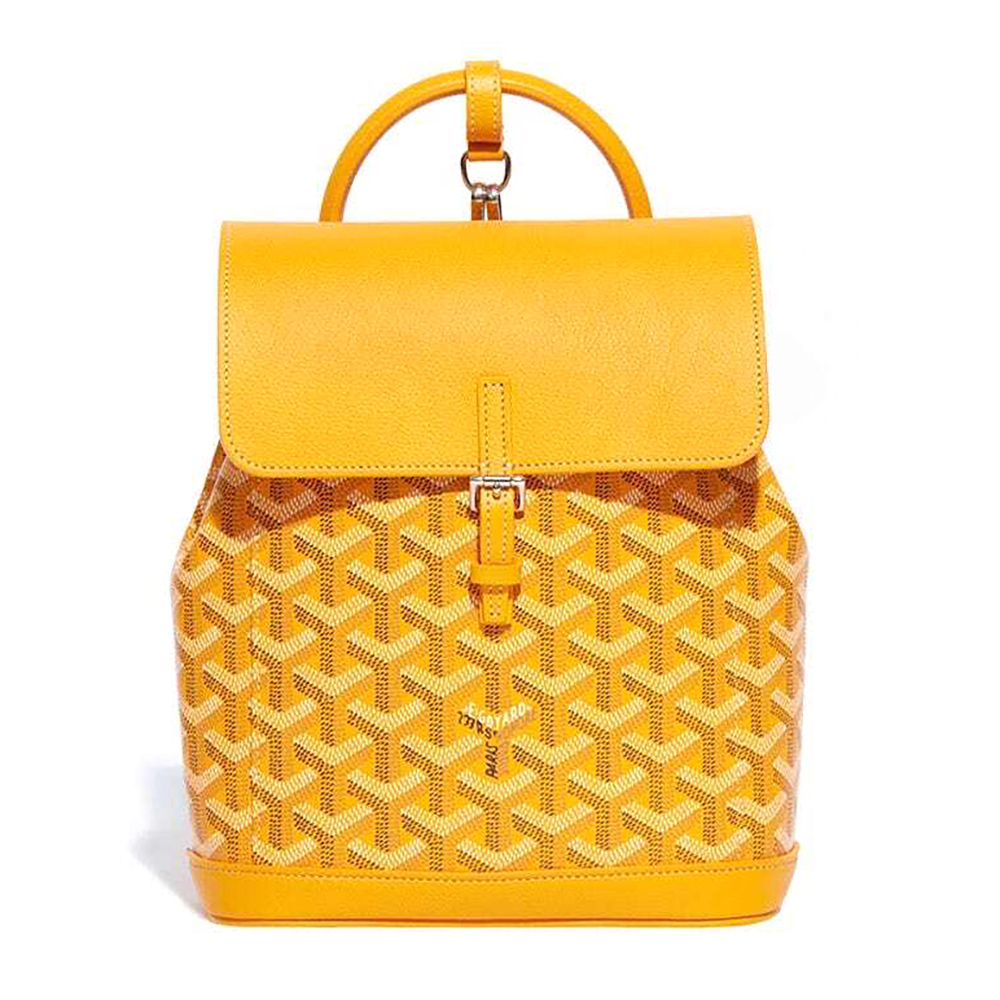 Goyard Alpin Mini Bags Y50CL50P 23*9.5*19cm