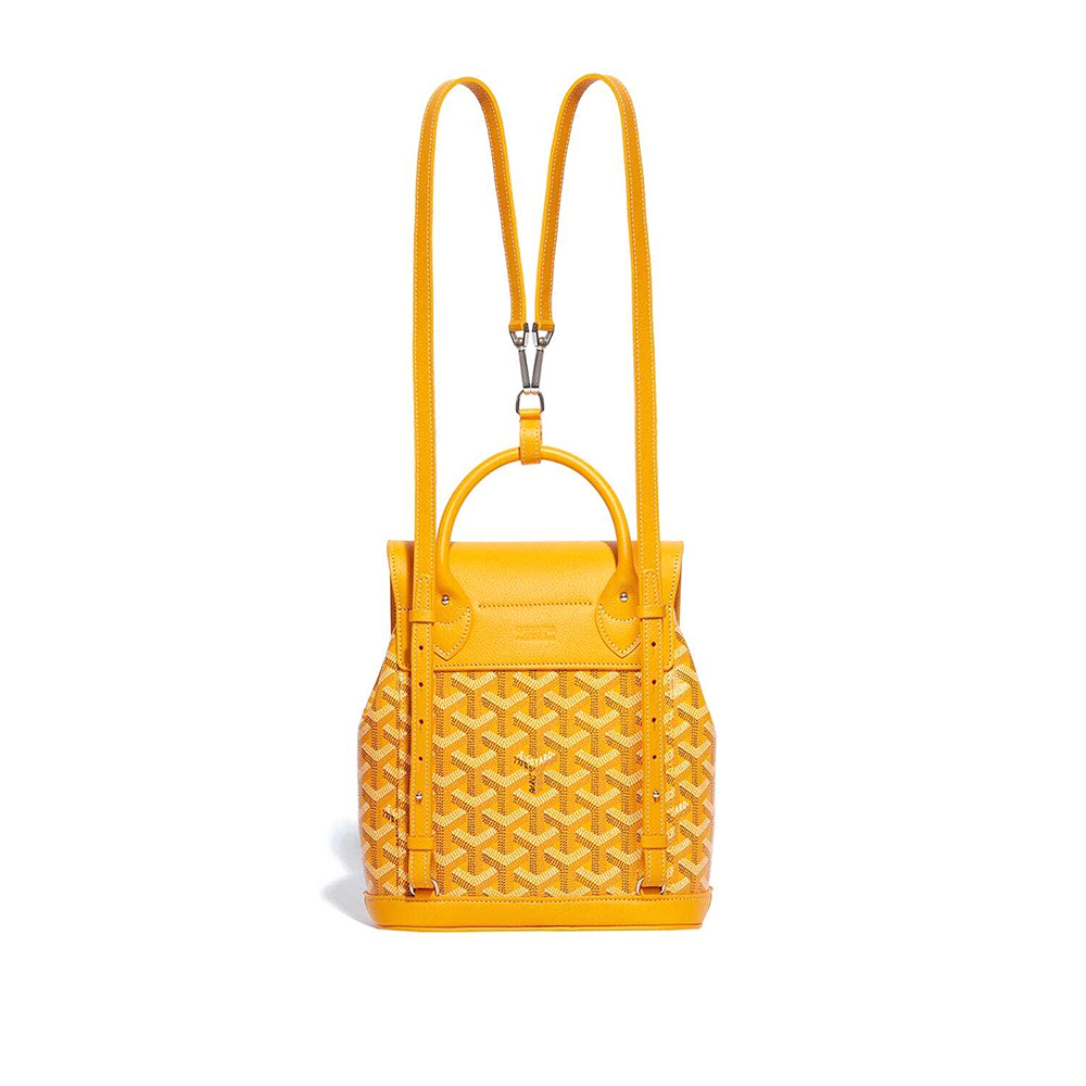 Goyard Alpin Mini Bags Y50CL50P 23*9.5*19cm