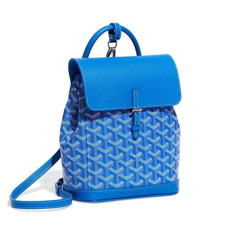 Goyard Alpin Mini Bags Y50CL50P 23*9.5*19cm