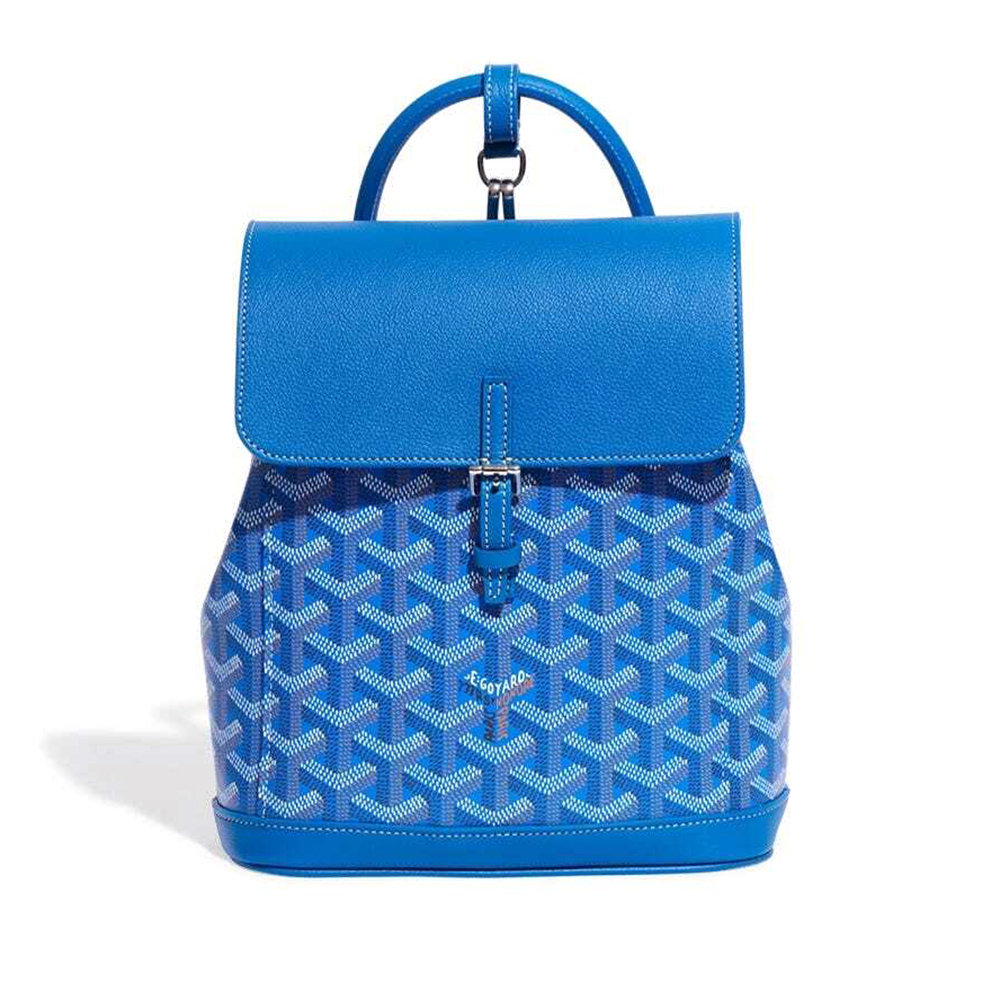 Goyard Alpin Mini Bags Y50CL50P 23*9.5*19cm