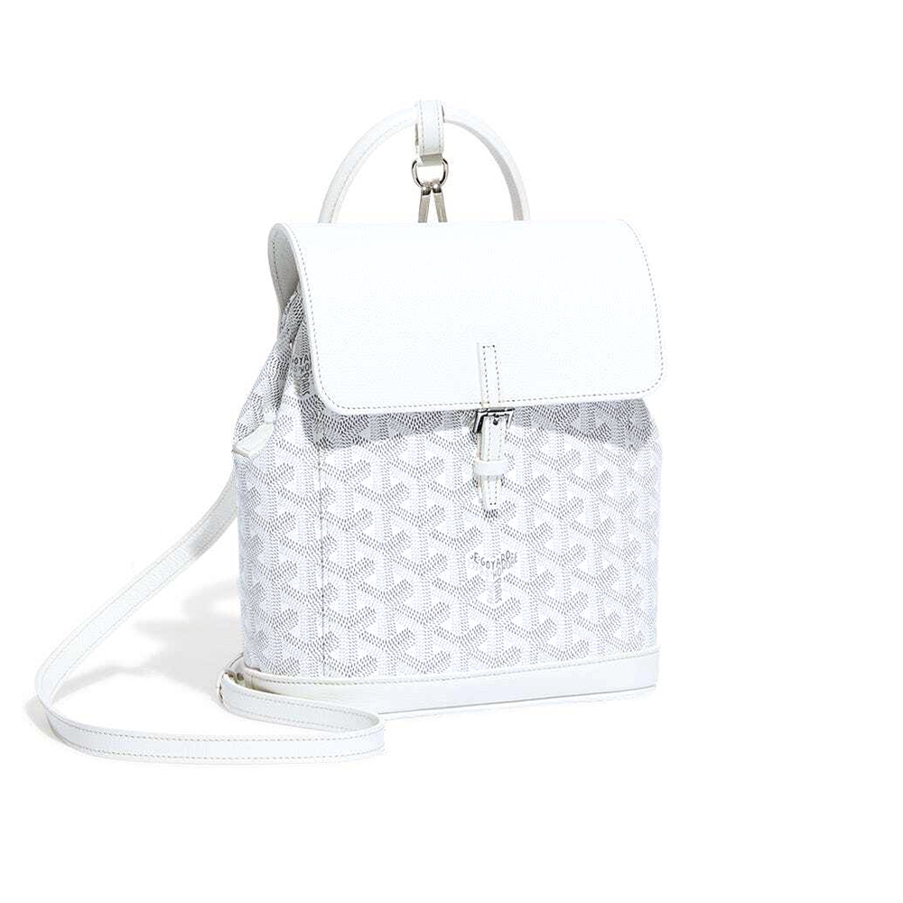 Goyard Alpin Mini Bags Y50CL50P 23*9.5*19cm