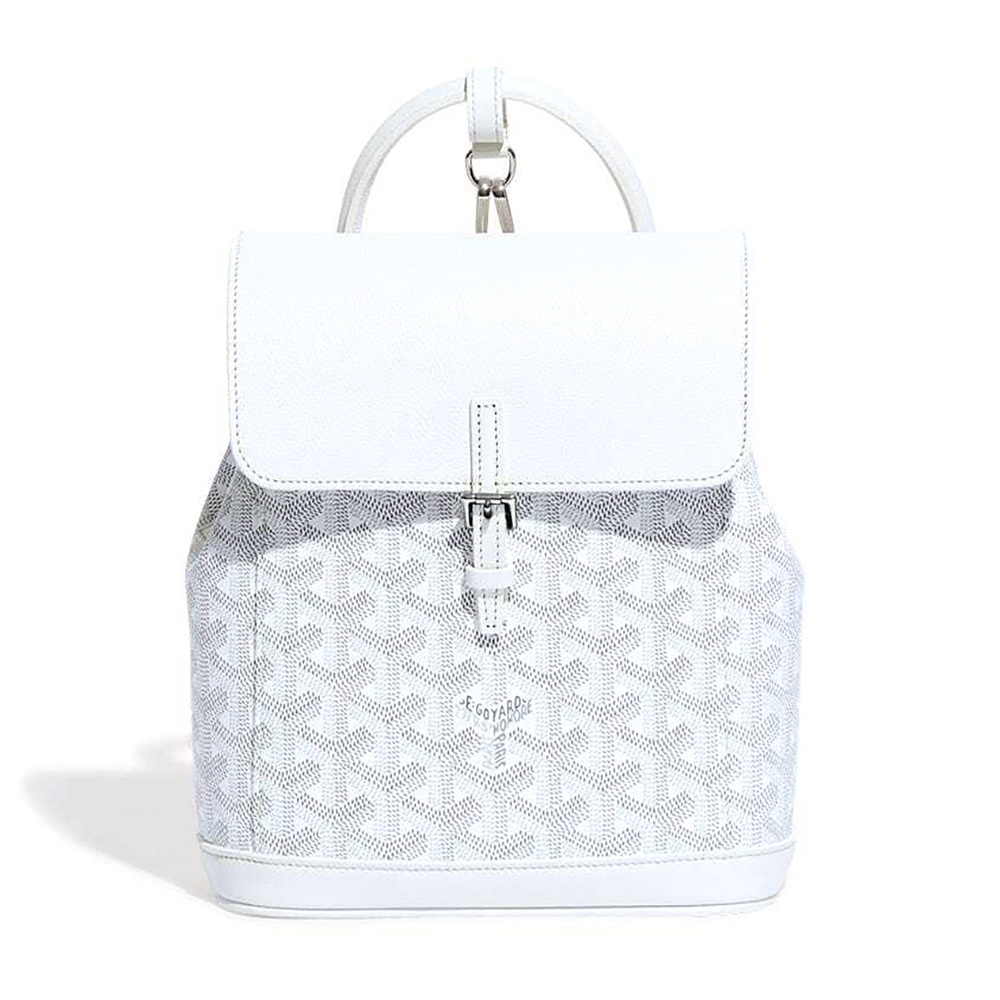 Goyard Alpin Mini Bags Y50CL50P 23*9.5*19cm