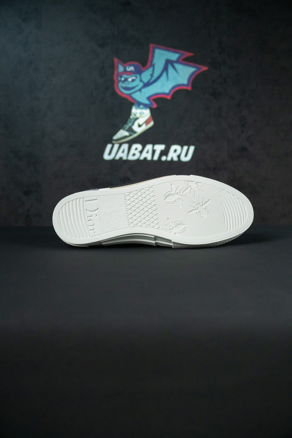 Dior B23 Low 