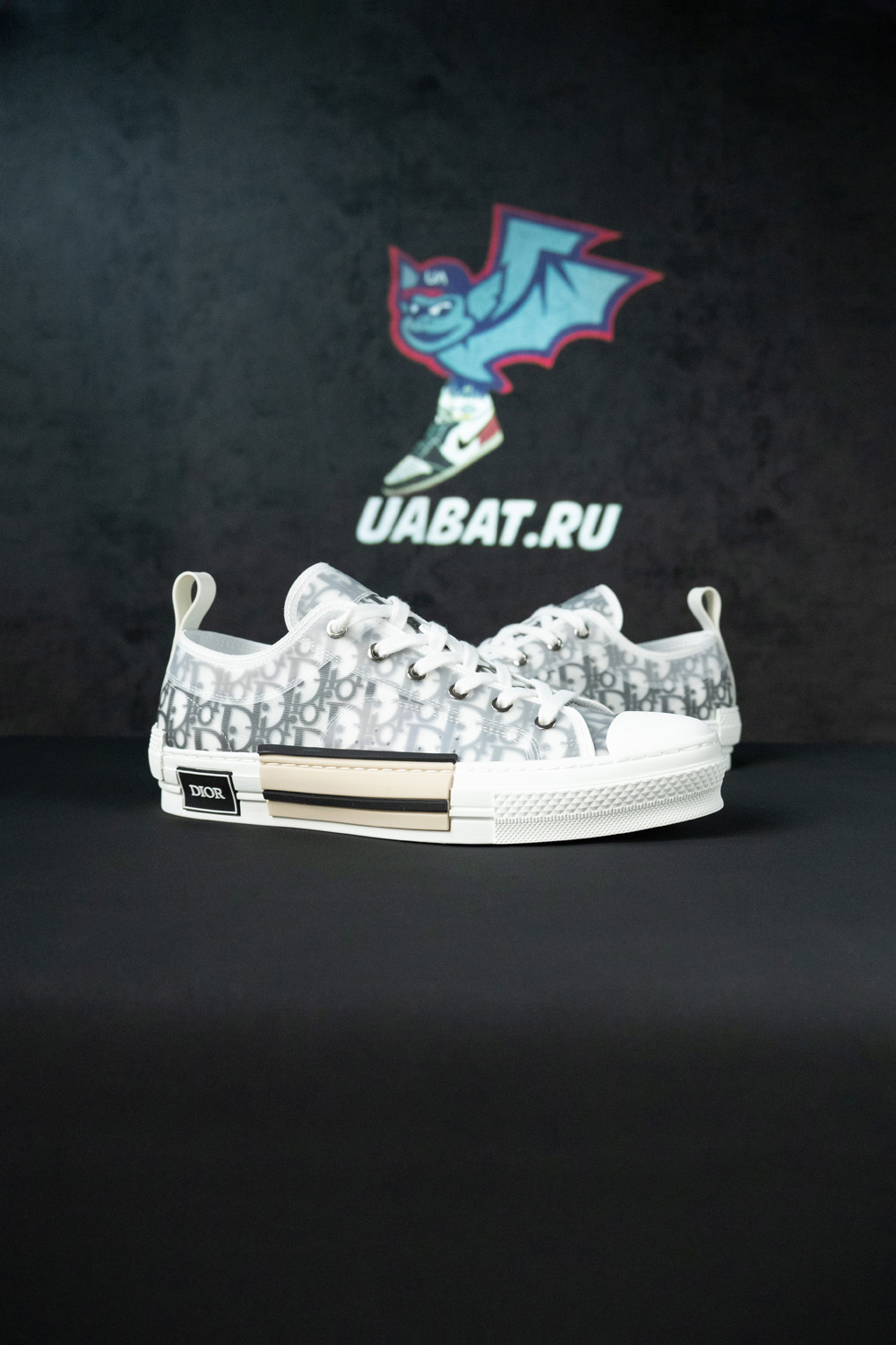 Dior B23 Low 