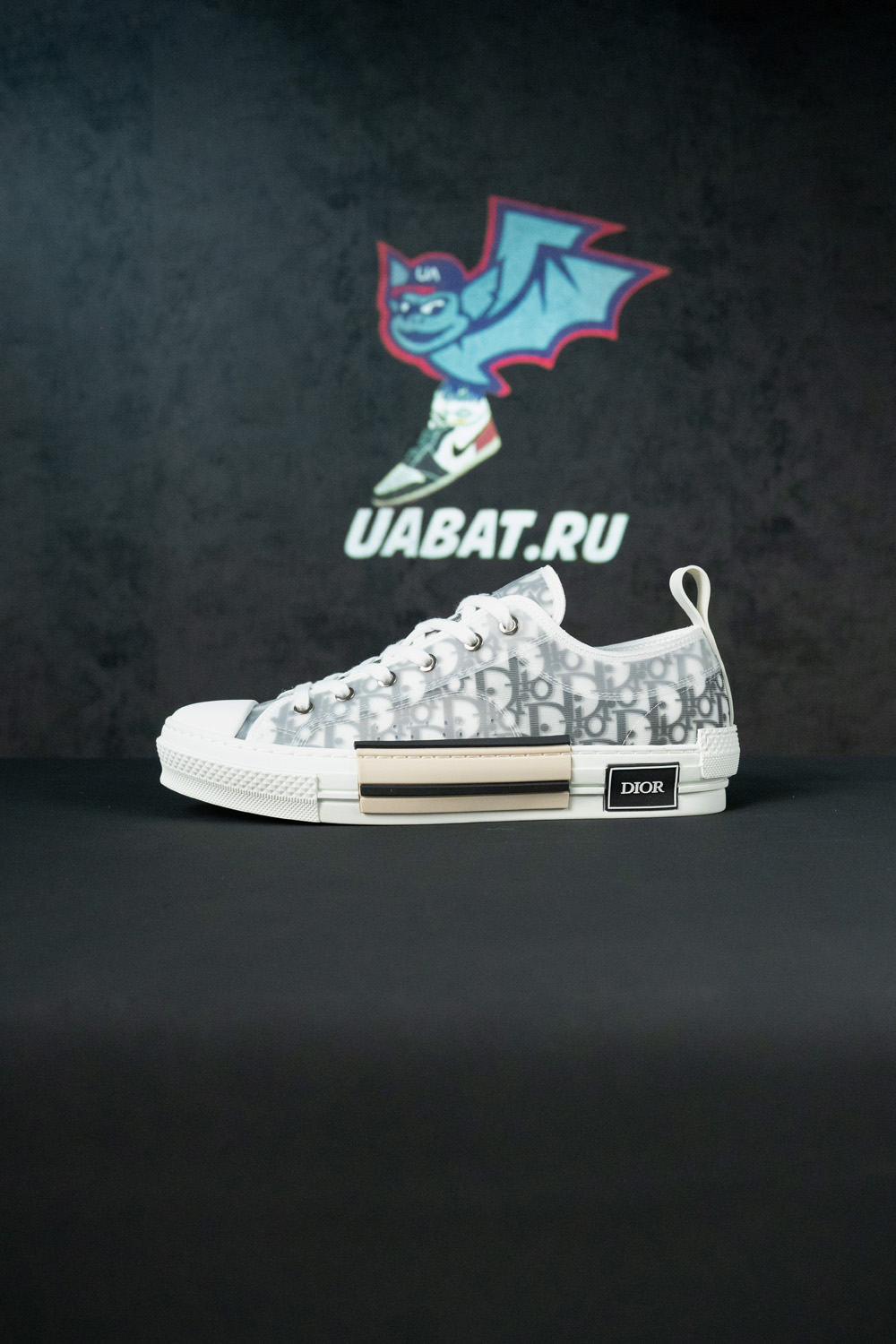 Dior B23 Low 