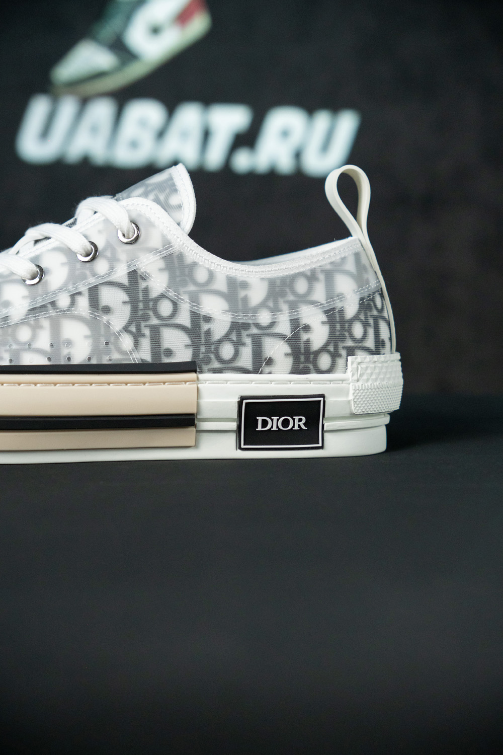 Dior B23 Low 