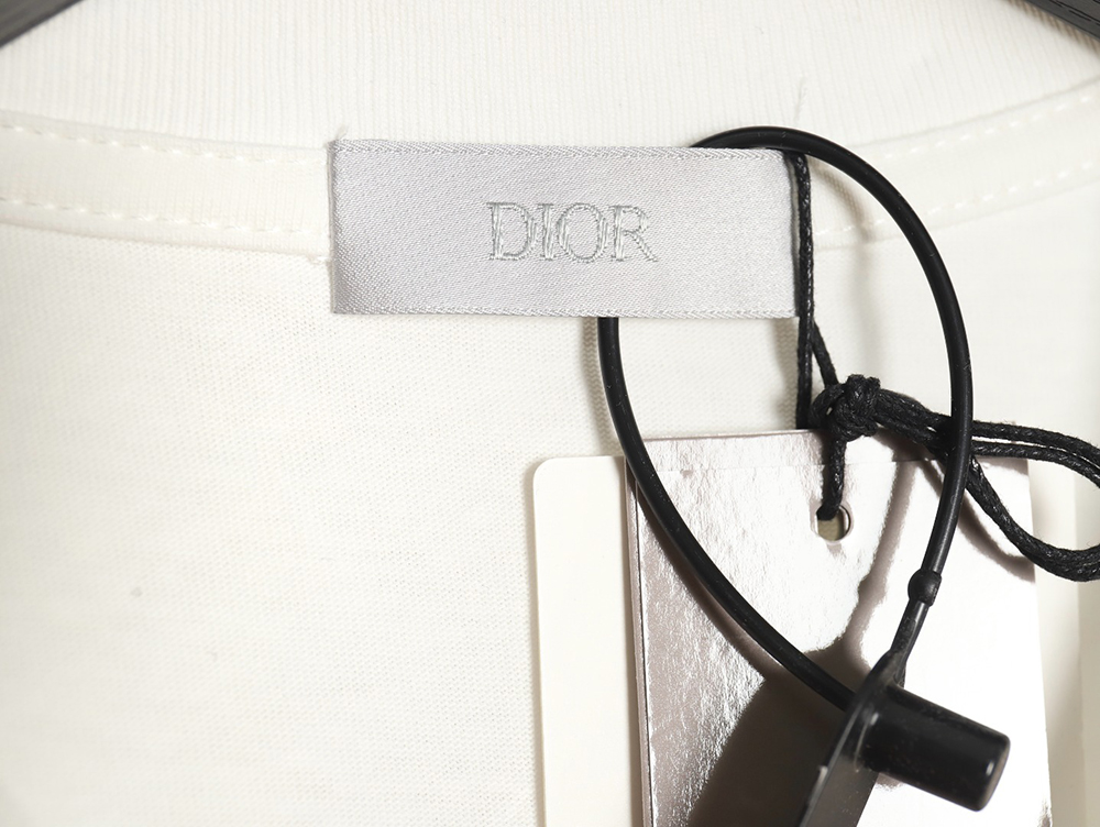 Dior new hand-painted letter short-sleeved T-shirt TSK1