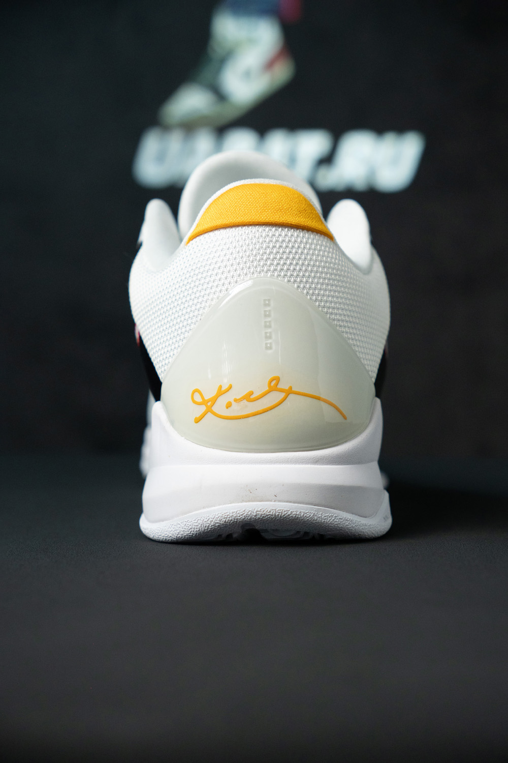 ZOOM KOBE 5 PROTRO 