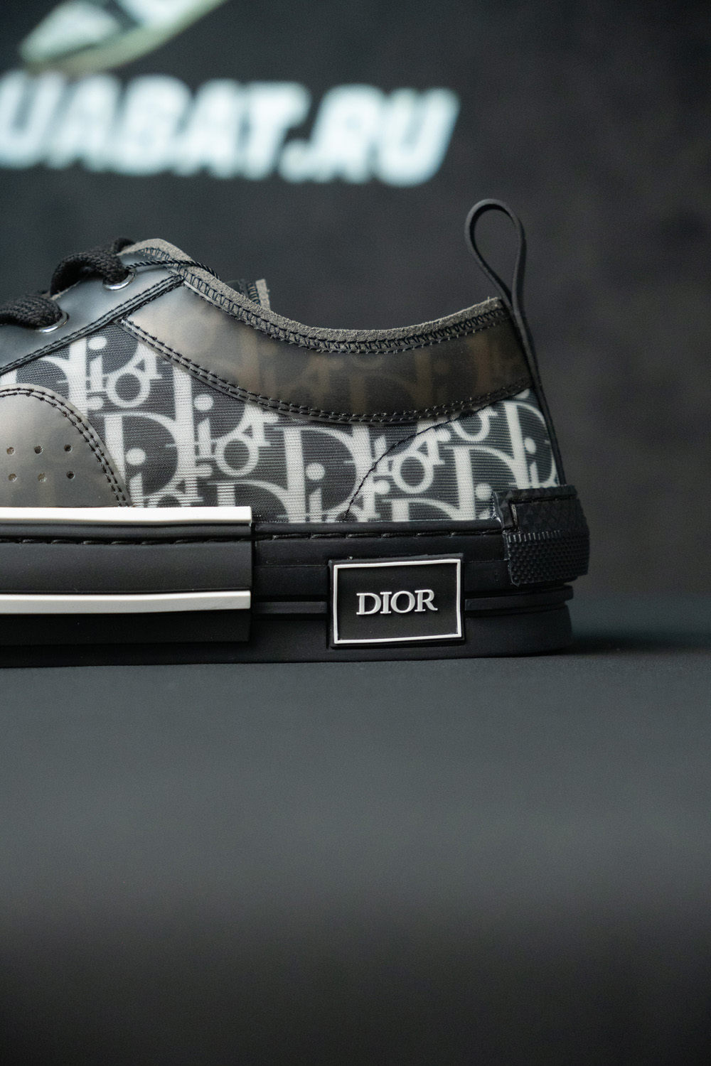 Dior B23 Low 