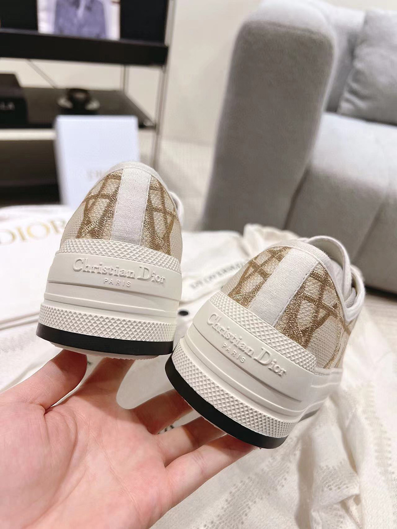 Dior Or Walk
