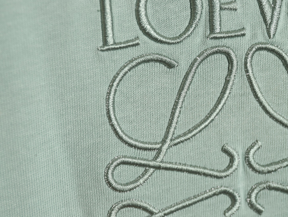 Loewe solid color embroidered large logo T-shirt TSK1