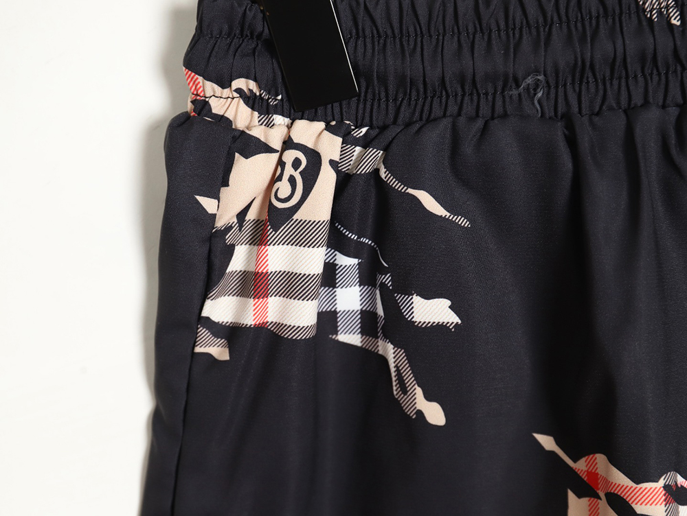 Burberry 24ss check horse beach shorts TSK1