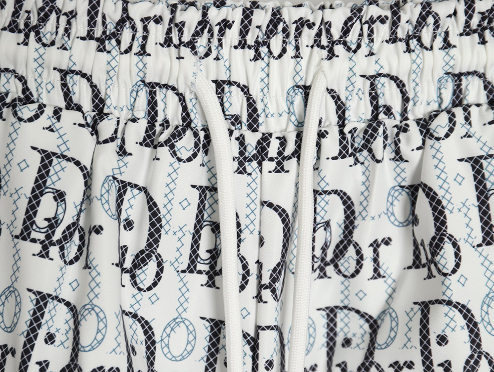 Dior 24ss all-over lettering beach shorts