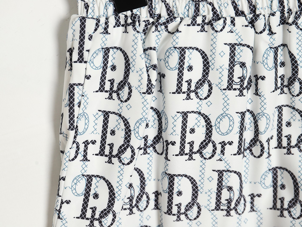 Dior 24ss all-over lettering beach shorts