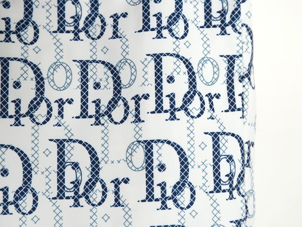 Dior 24ss all-over lettering beach shorts TSK1