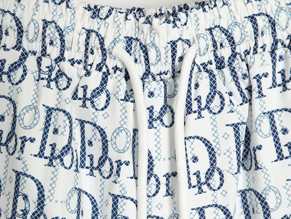 Dior 24ss all-over lettering beach shorts TSK1
