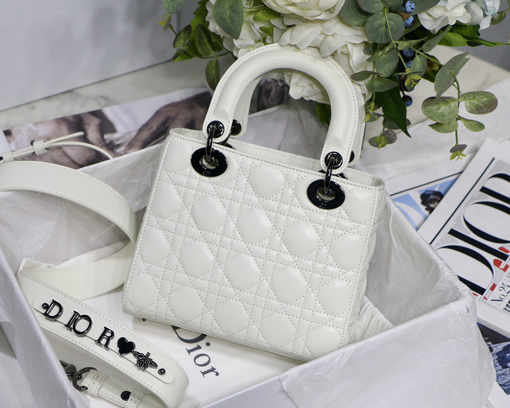 Christian Dior Bags M8001 20cm