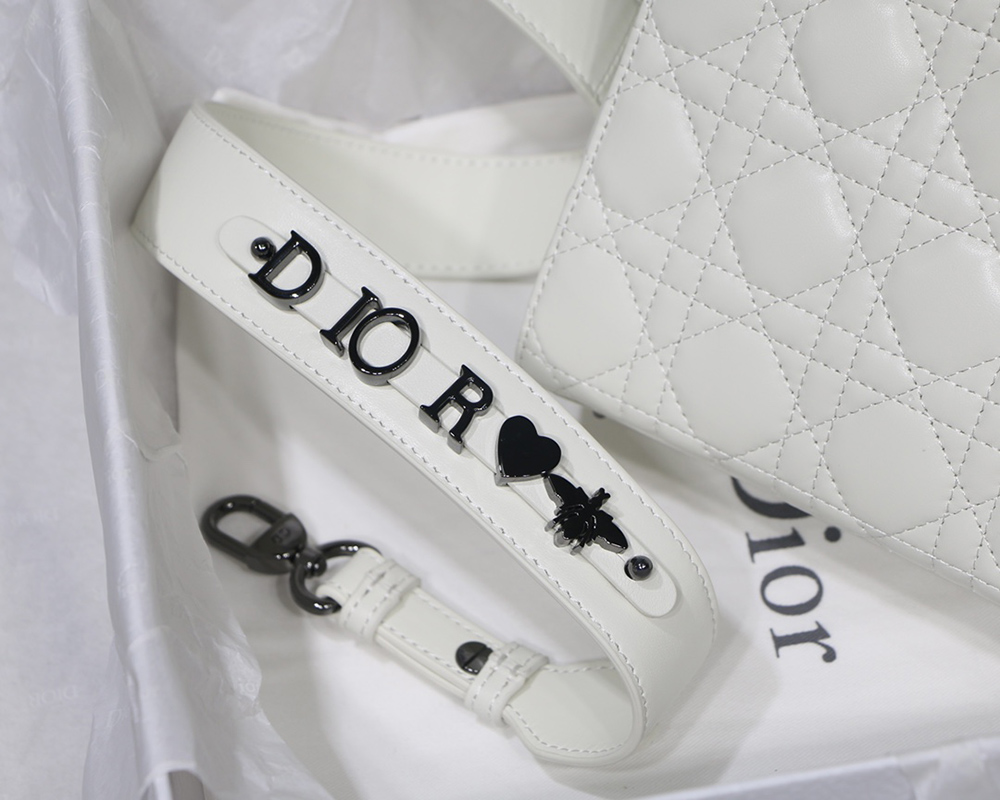 Christian Dior Bags M8001 20cm