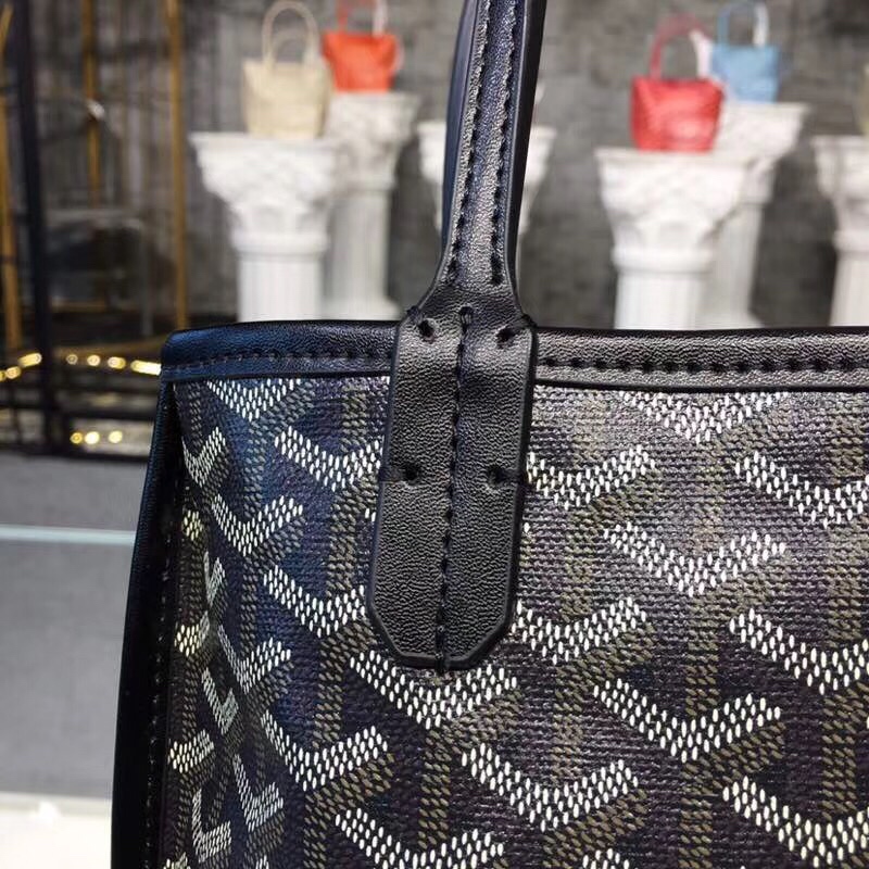 Goyard Anjou Mini Bags 01TY01P 20*11*20cm
