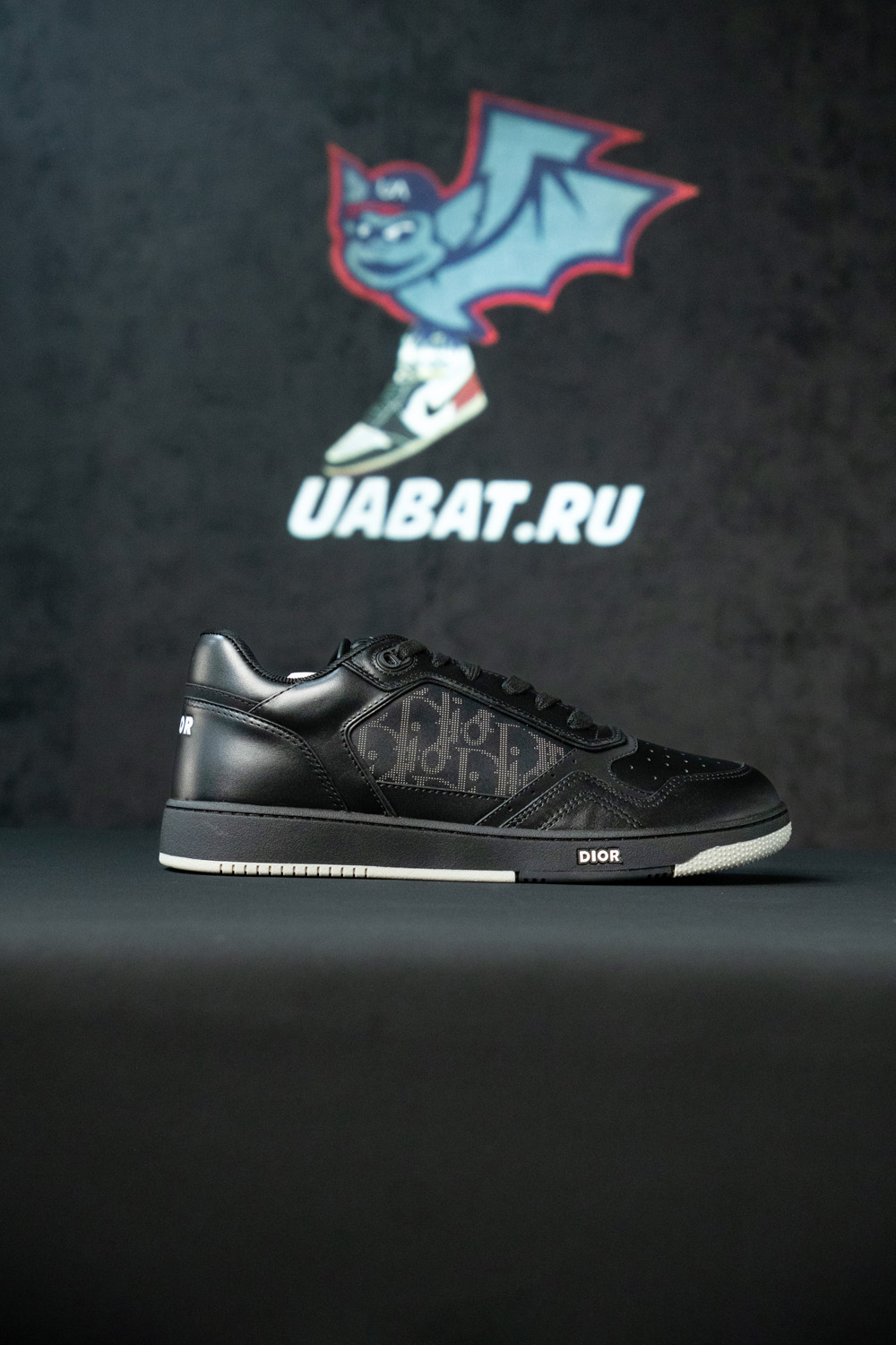 Dior B27 Low