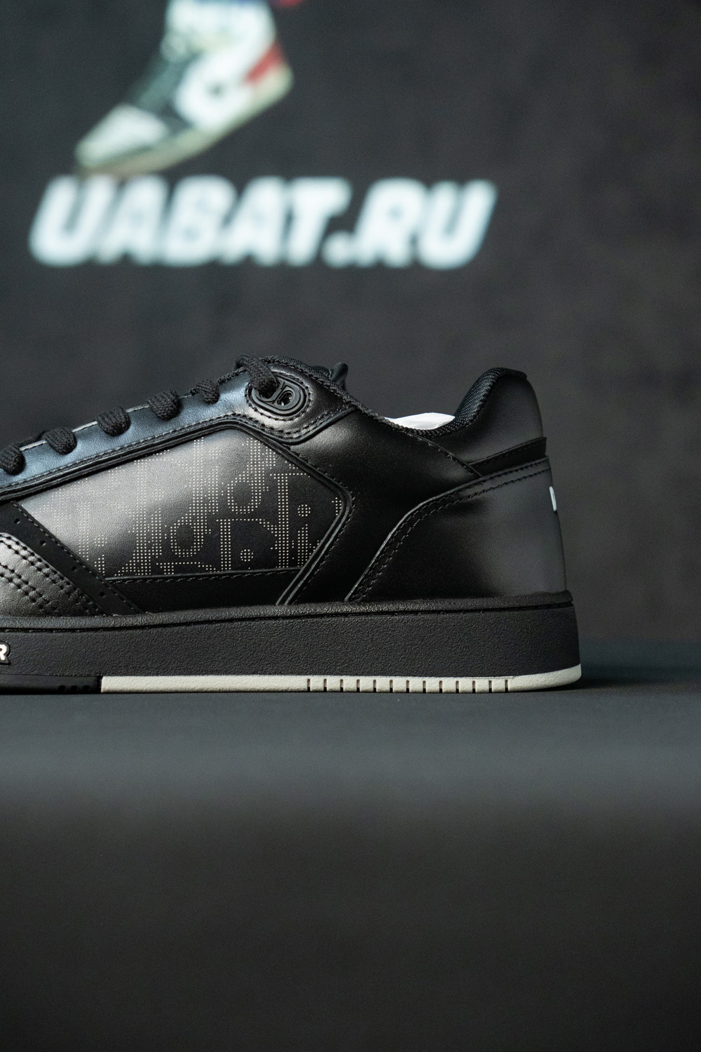 Dior B27 Low