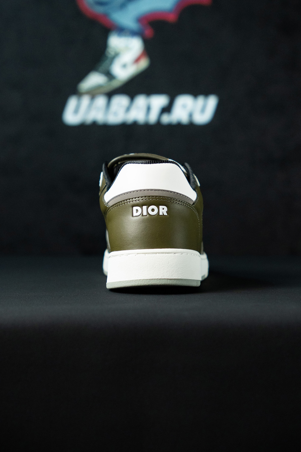 Dior B27 Low 