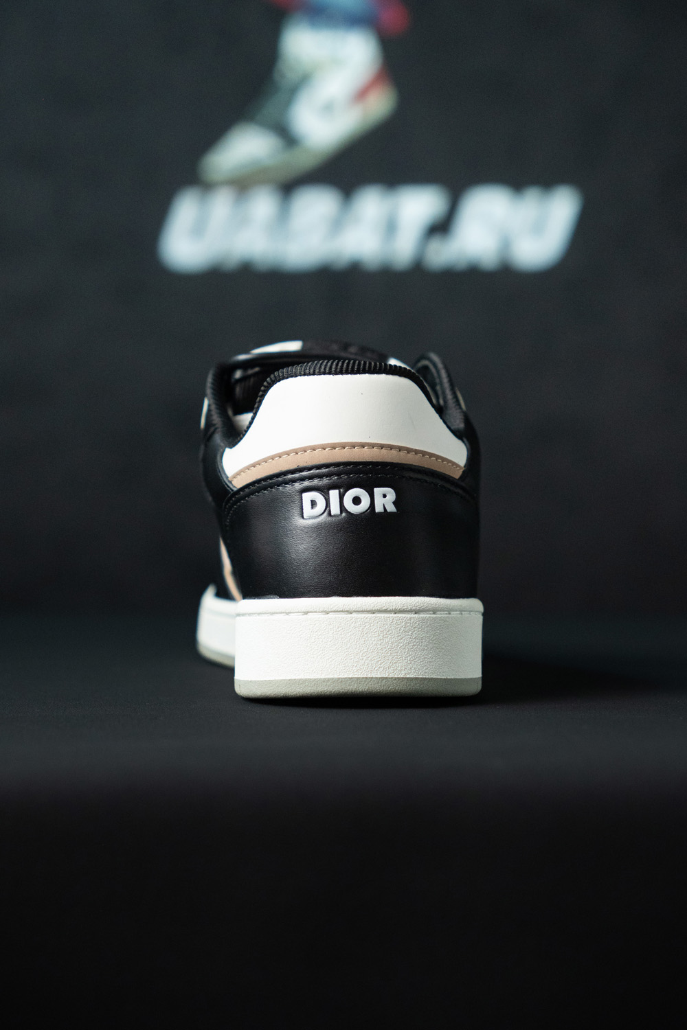 Dior B27 Low 