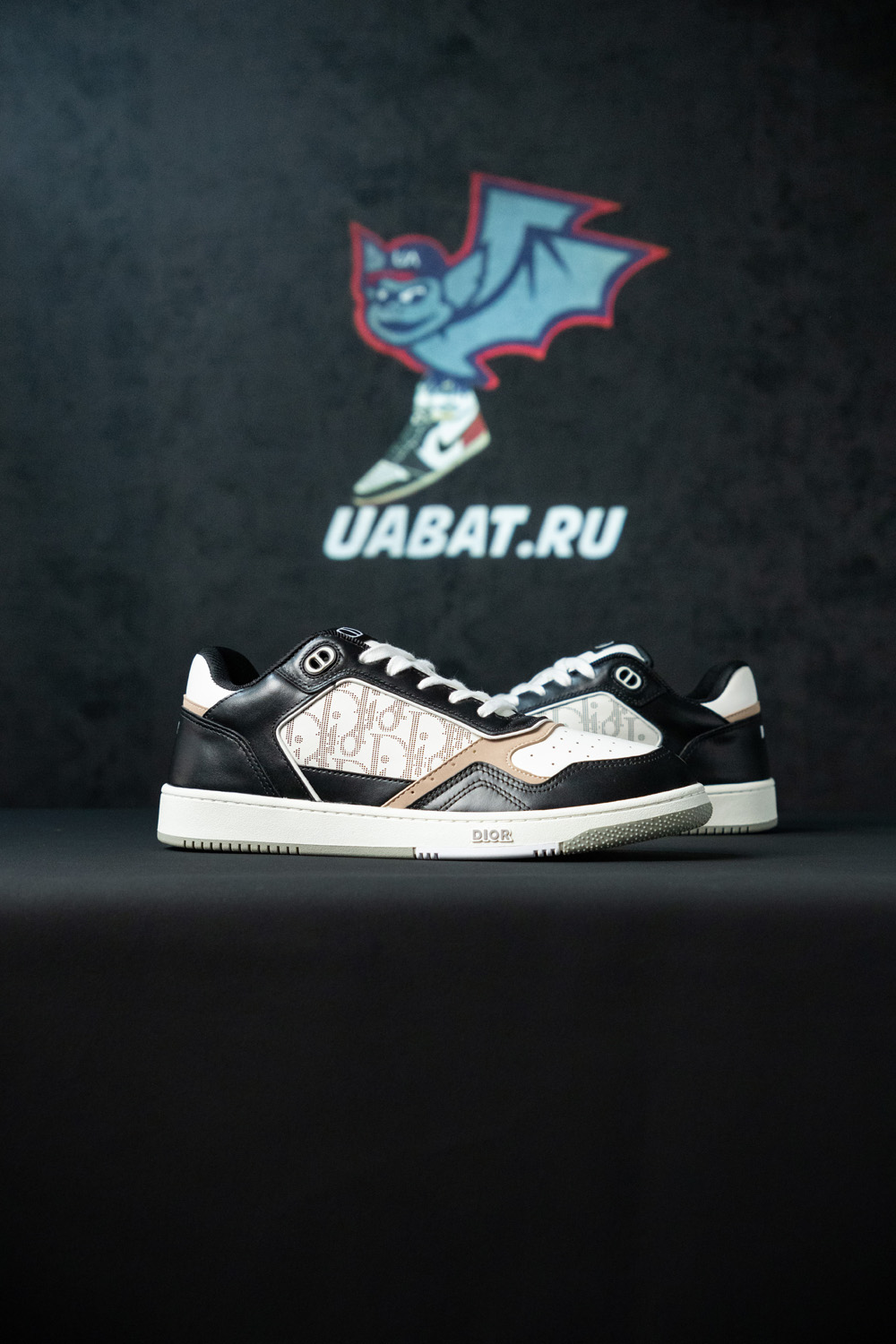 Dior B27 Low 