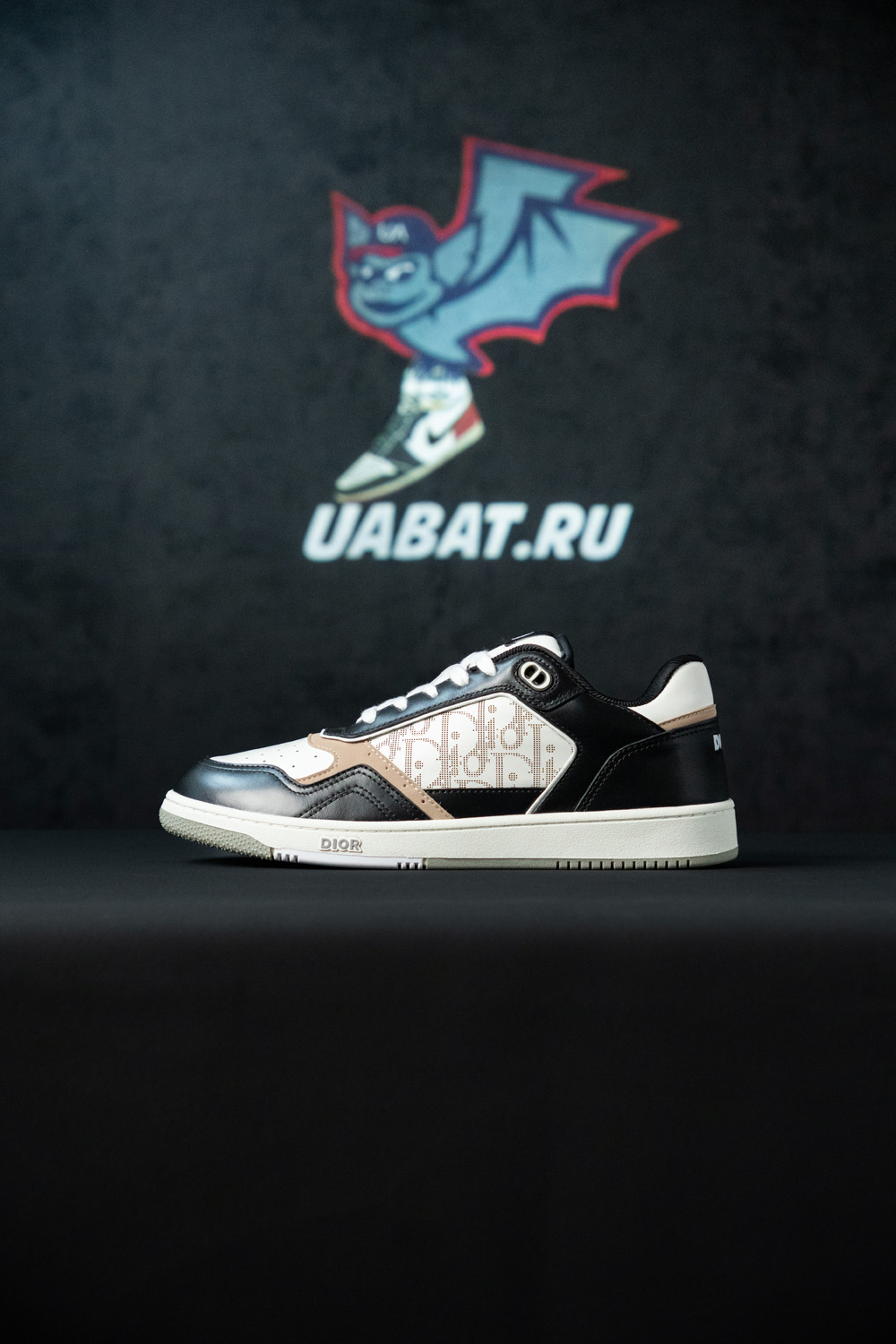 Dior B27 Low 