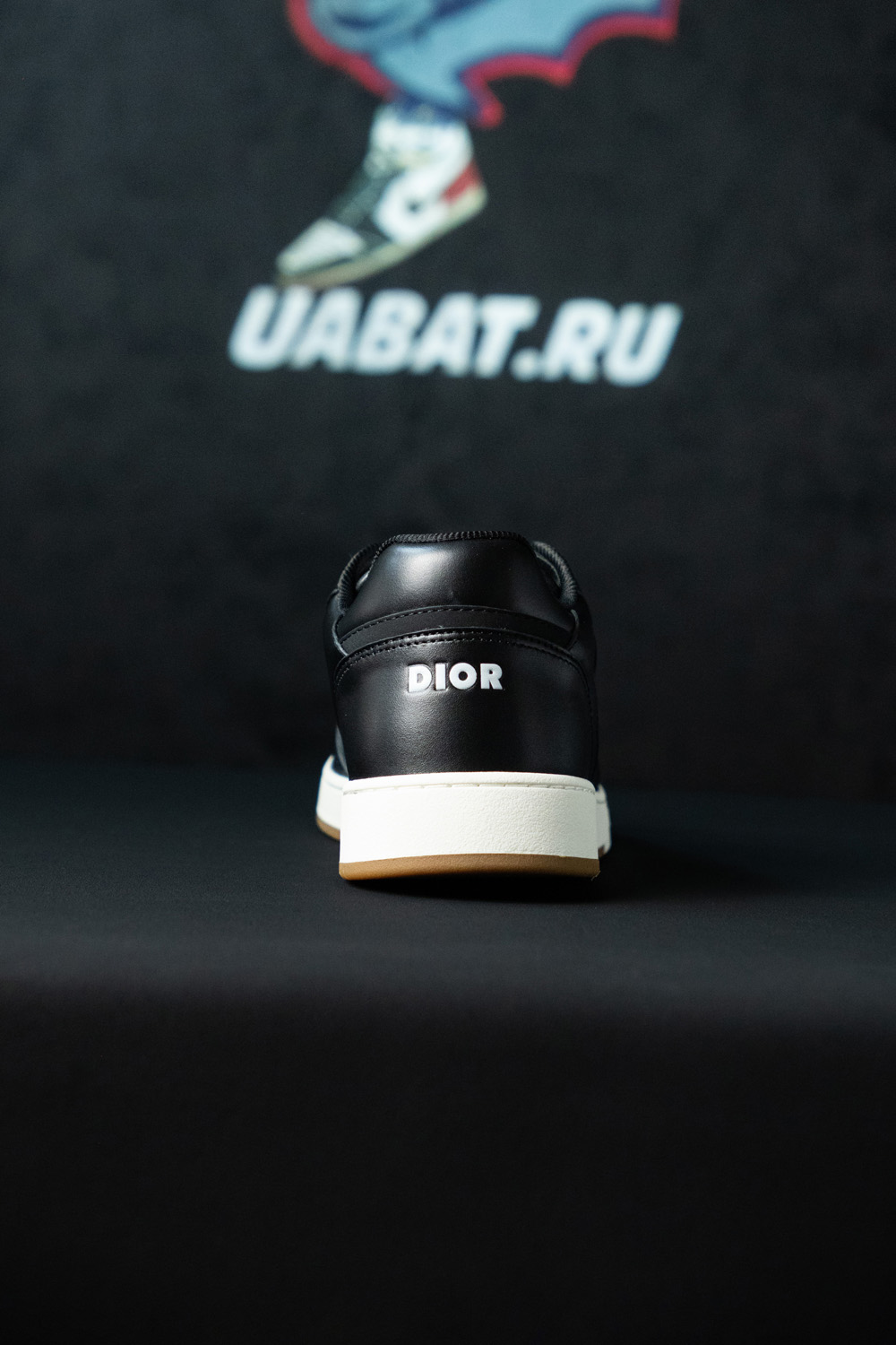 Dior B27 Low 