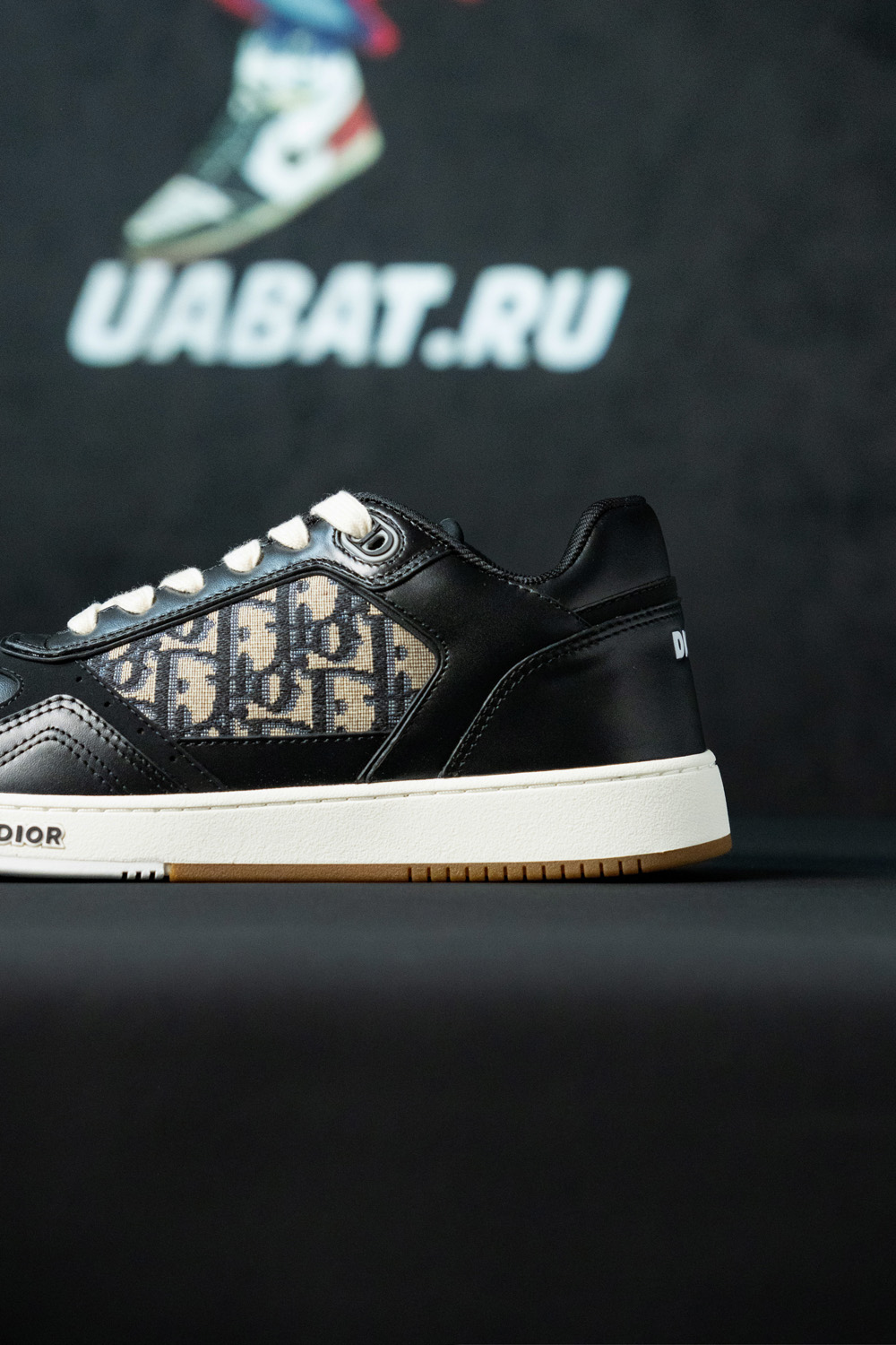 Dior B27 Low 