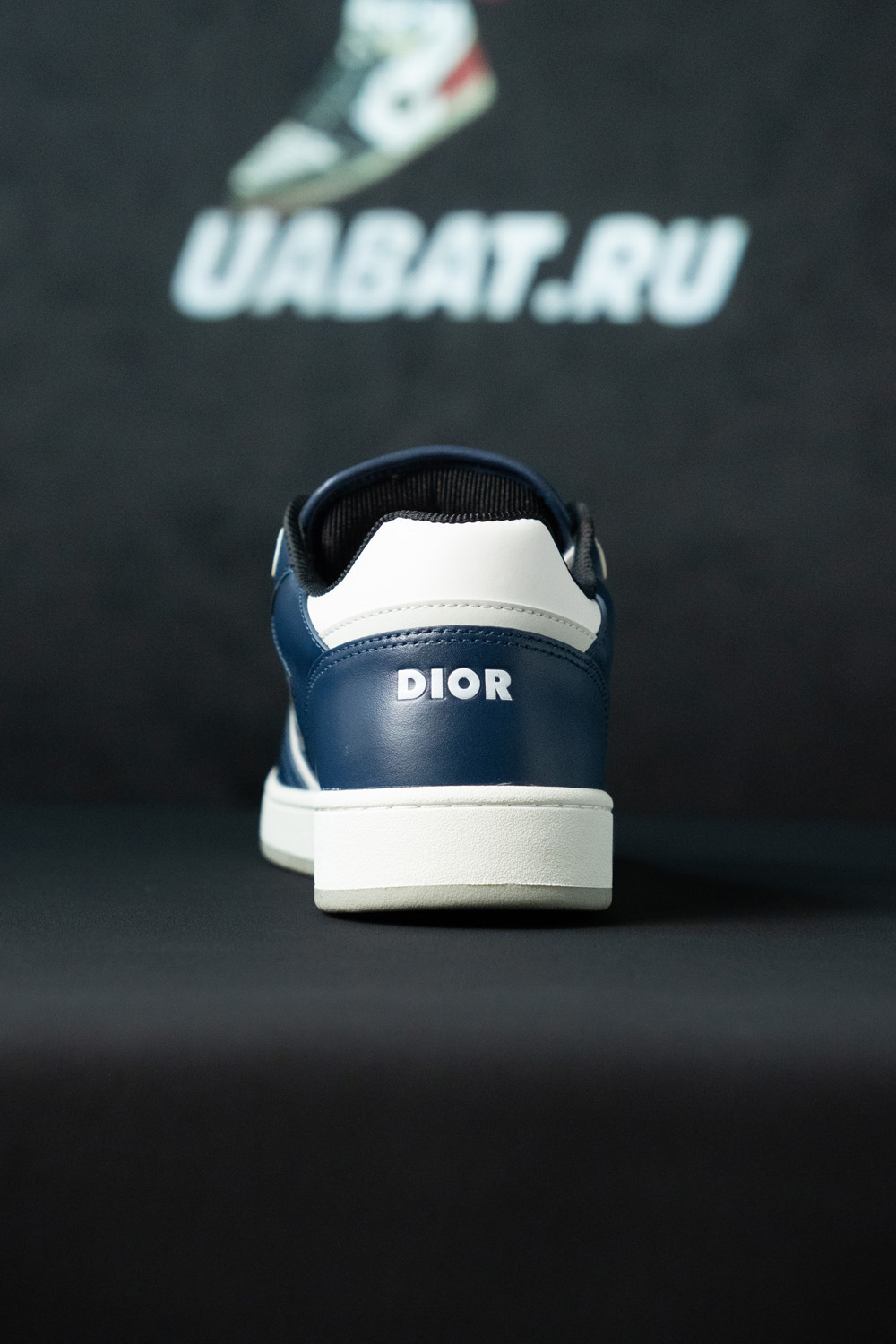 Dior B27 Low 