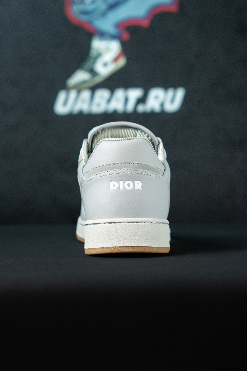Dior B27 Low