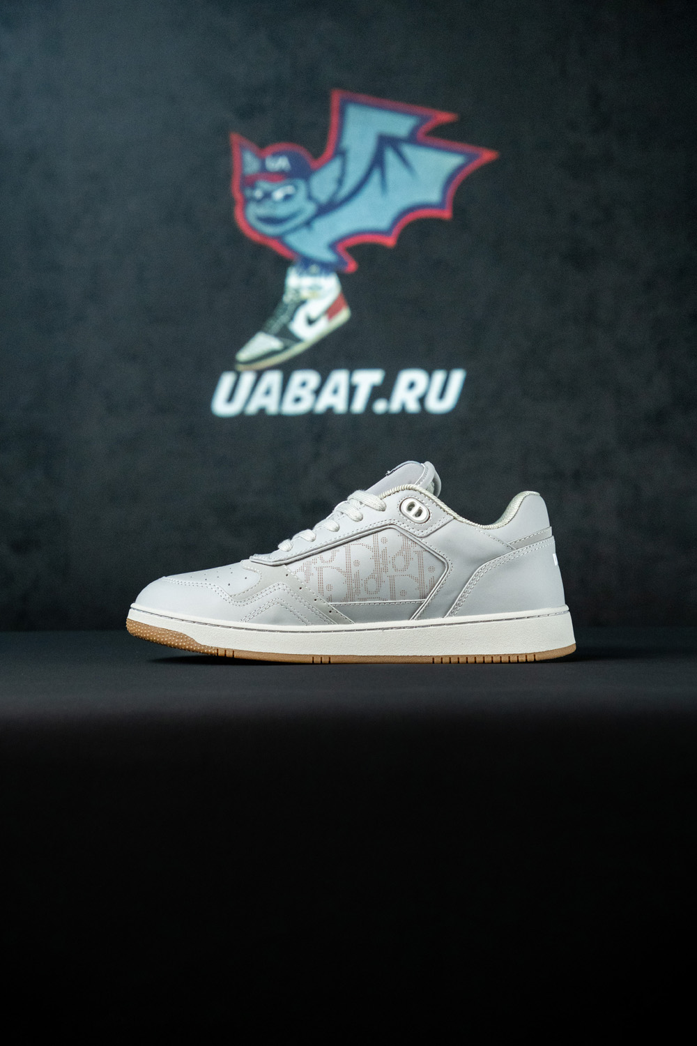 Dior B27 Low