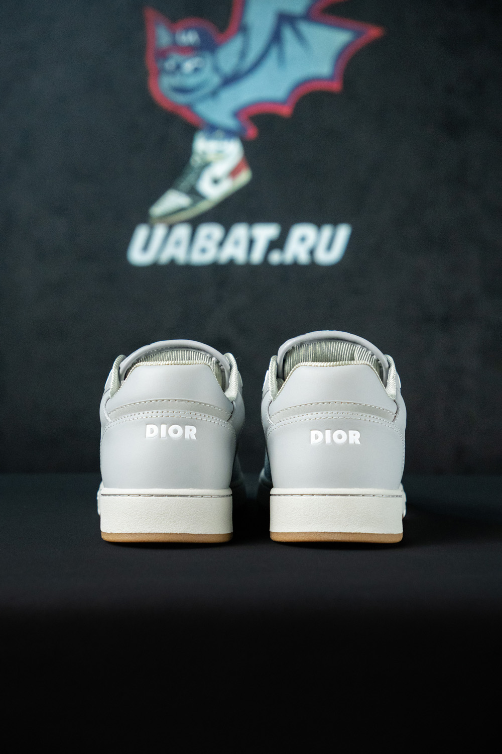 Dior B27 Low