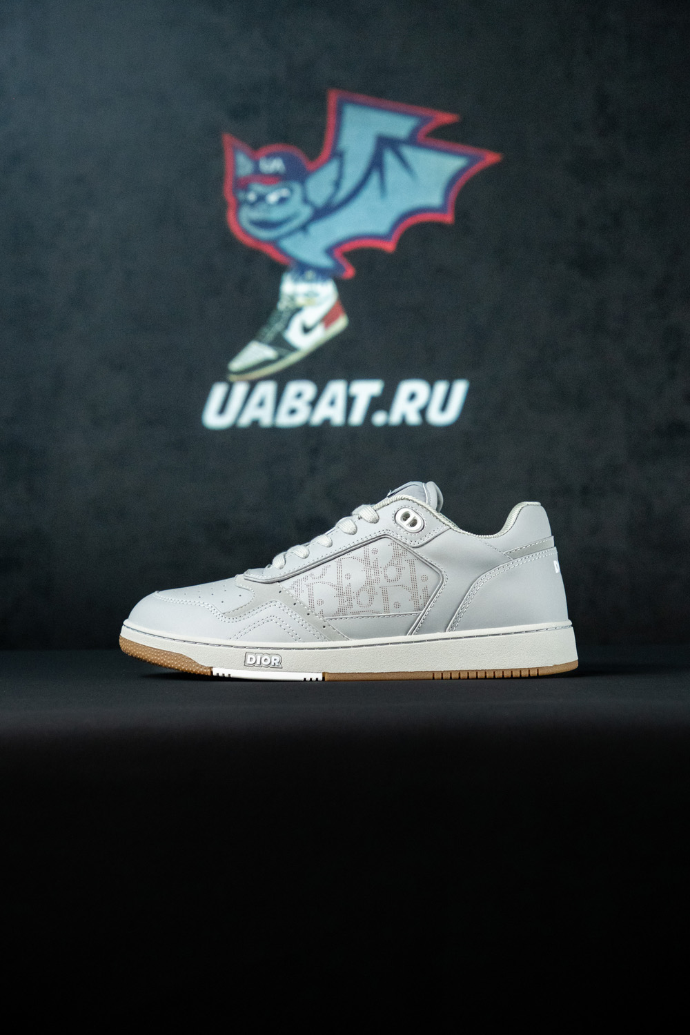 Dior B27 Low
