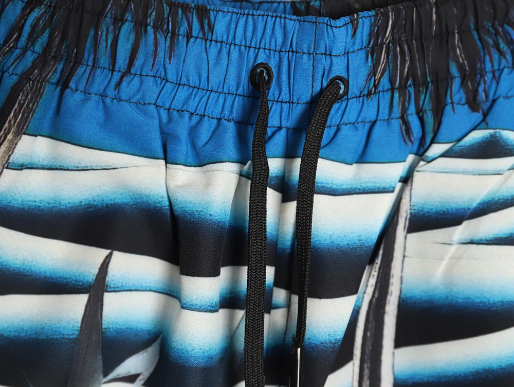 Louis Vuitton 24ss Beach Moonlight Print Shorts